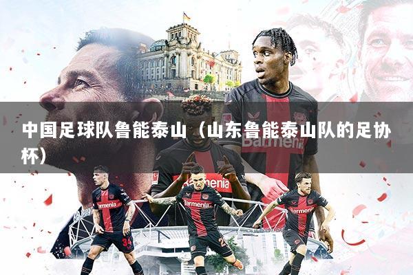 中国足球队鲁能泰山(山东鲁能泰山队的足协杯)