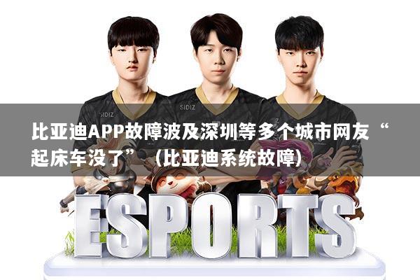 比亚迪APP故障波及深圳等多个城市网友“起床车没了”(比亚迪系统故障)