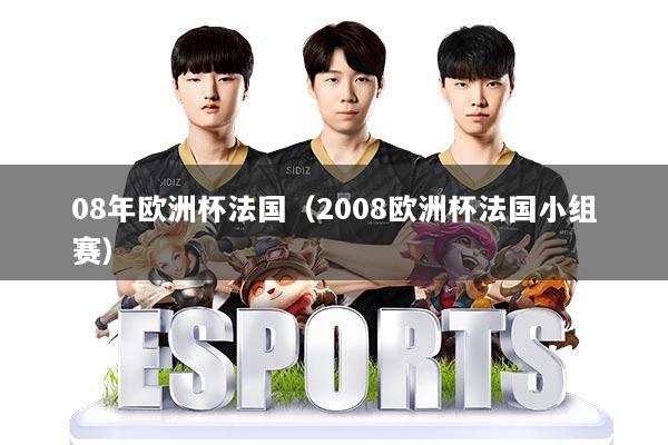 08年欧洲杯法国（2008欧洲杯法国小组赛）